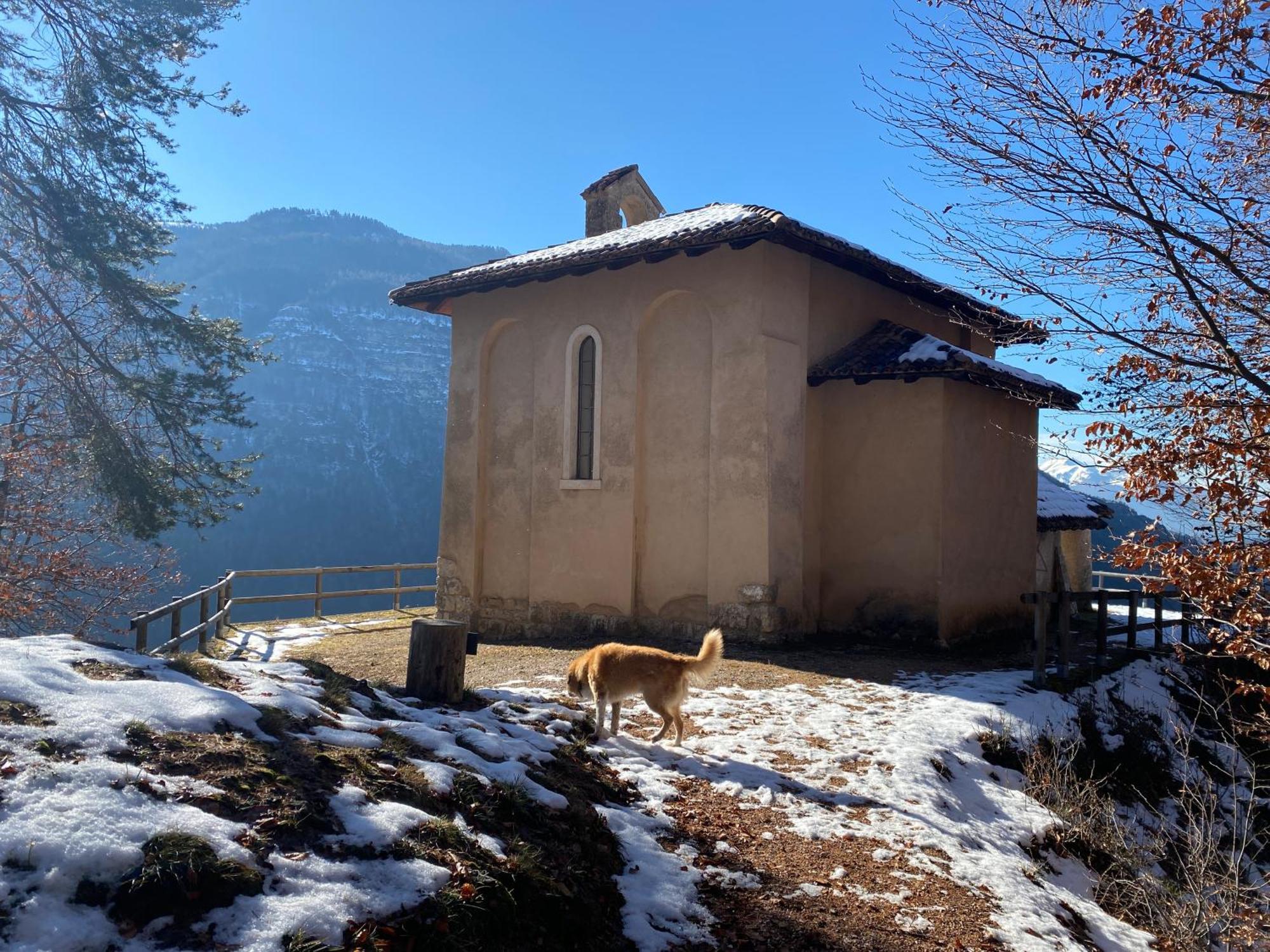 Cielo E Terra Chalet Zencheri Con Vista Panoramica Piazza  Eksteriør billede
